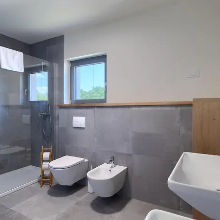 Modern Fritula With Pool In Vizinada Willa Lasci