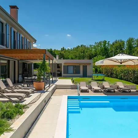 Modern Fritula With Pool In Vizinada *