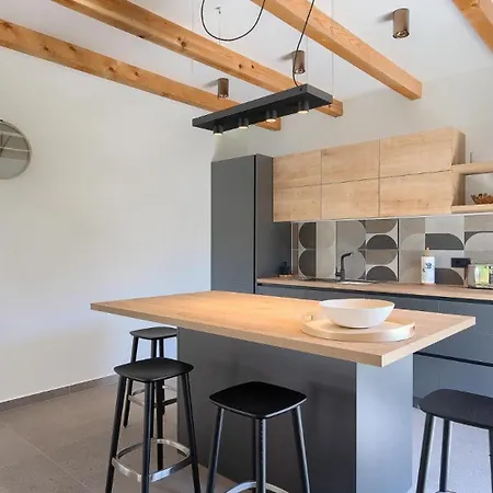 Modern Fritula With Pool In Vizinada Villa Lasci