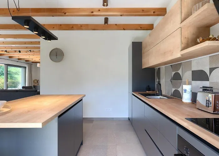 Villa Modern Fritula With Pool In Vizinada