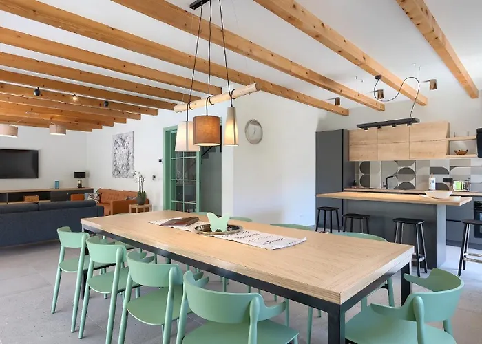 Villa Modern Fritula With Pool In Vizinada *