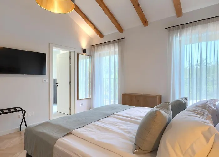 Modern Fritula With Pool In Vizinada Villa *