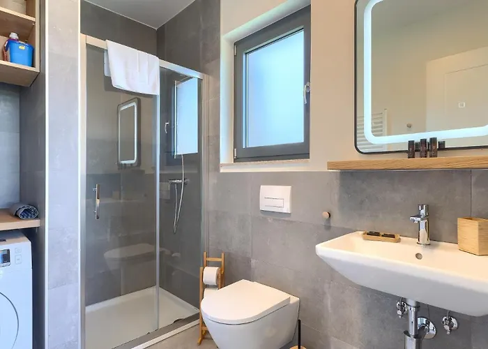 Modern Fritula With Pool In Vizinada Lasci