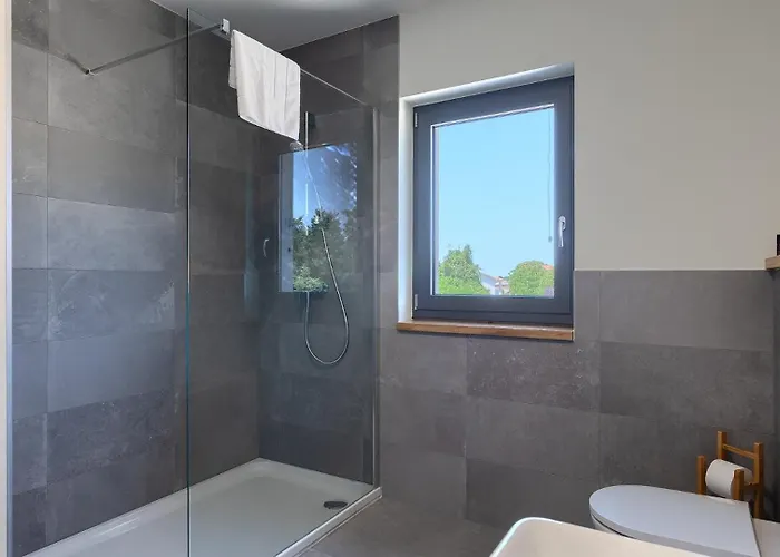 Modern Fritula With Pool In Vizinada Villa *